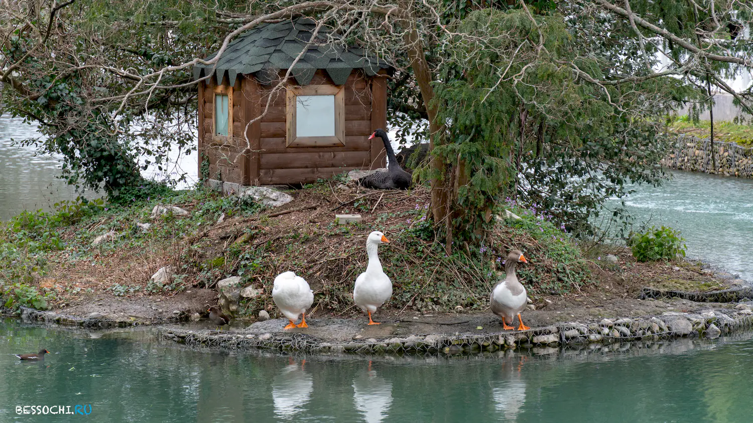 парк Южные культуры
