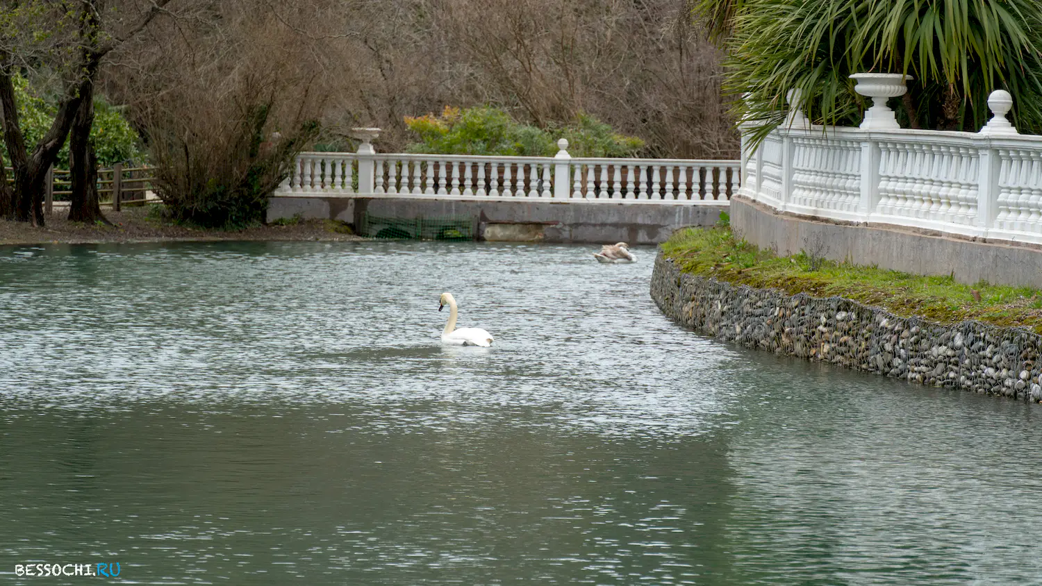 парк Южные культуры