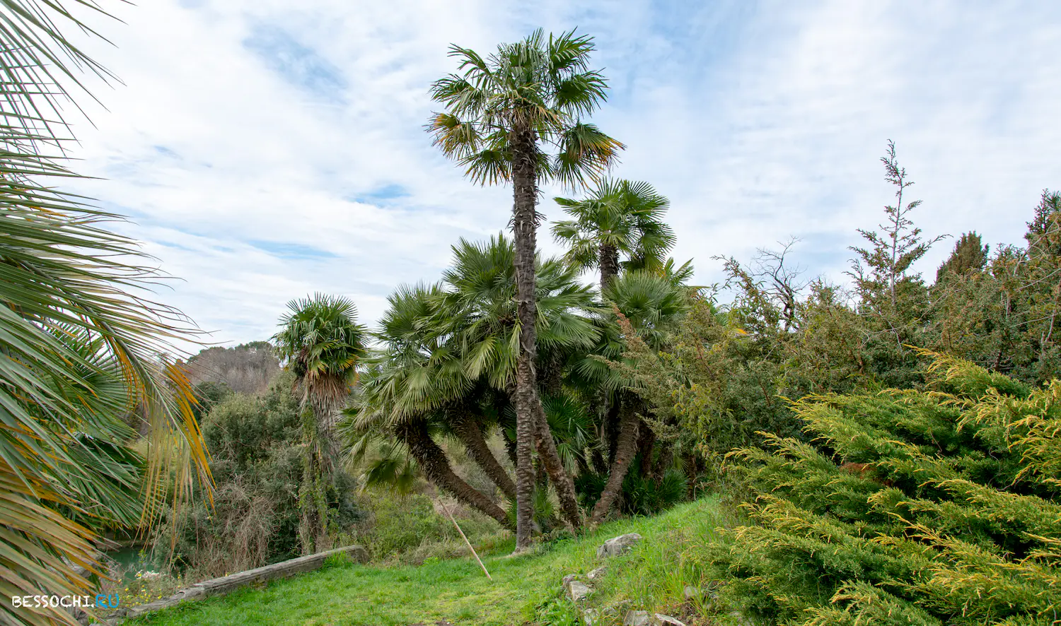 парк Южные культуры