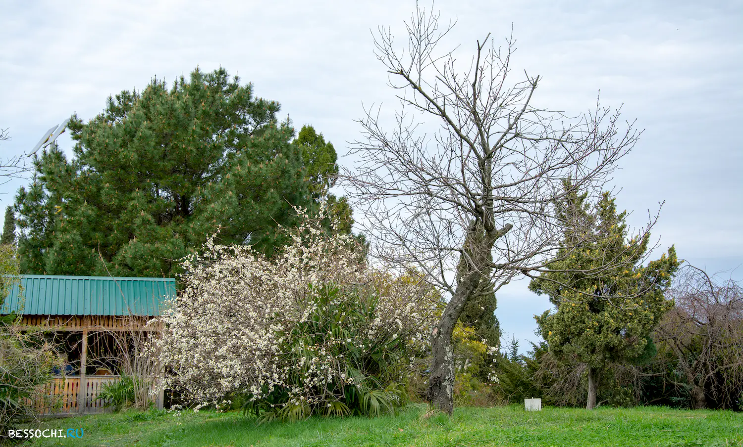 парк Южные культуры