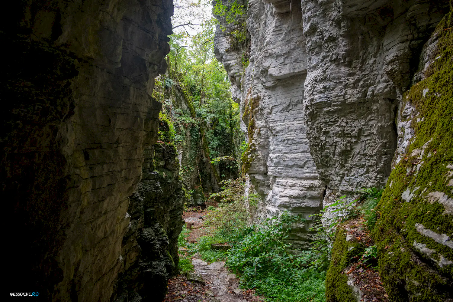 Сухой Псахо