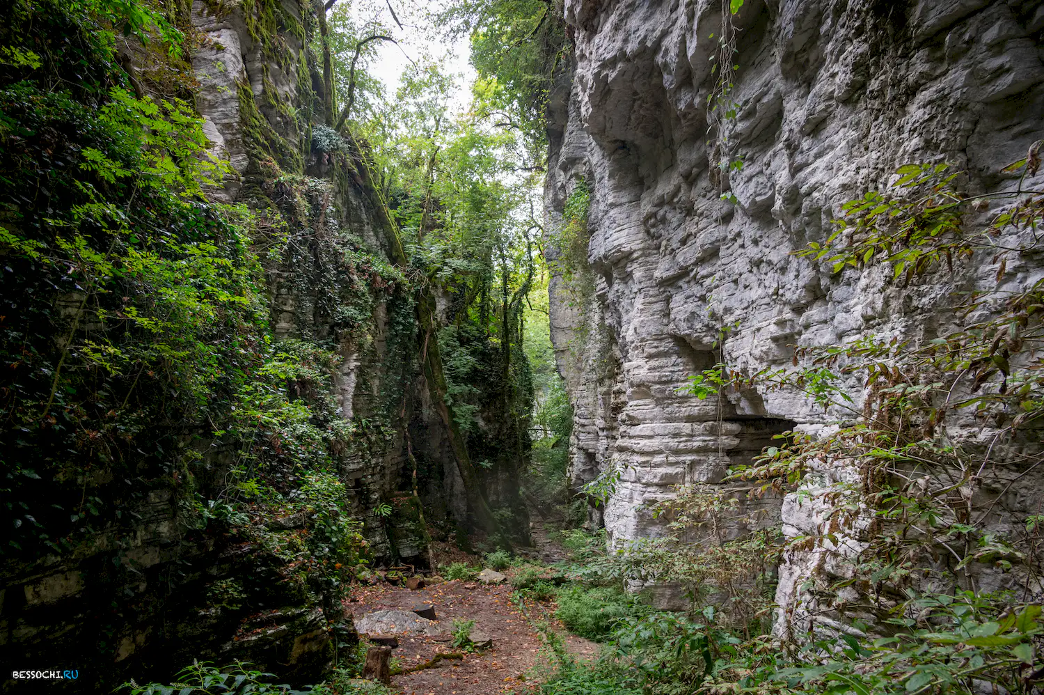 Сухой Псахо