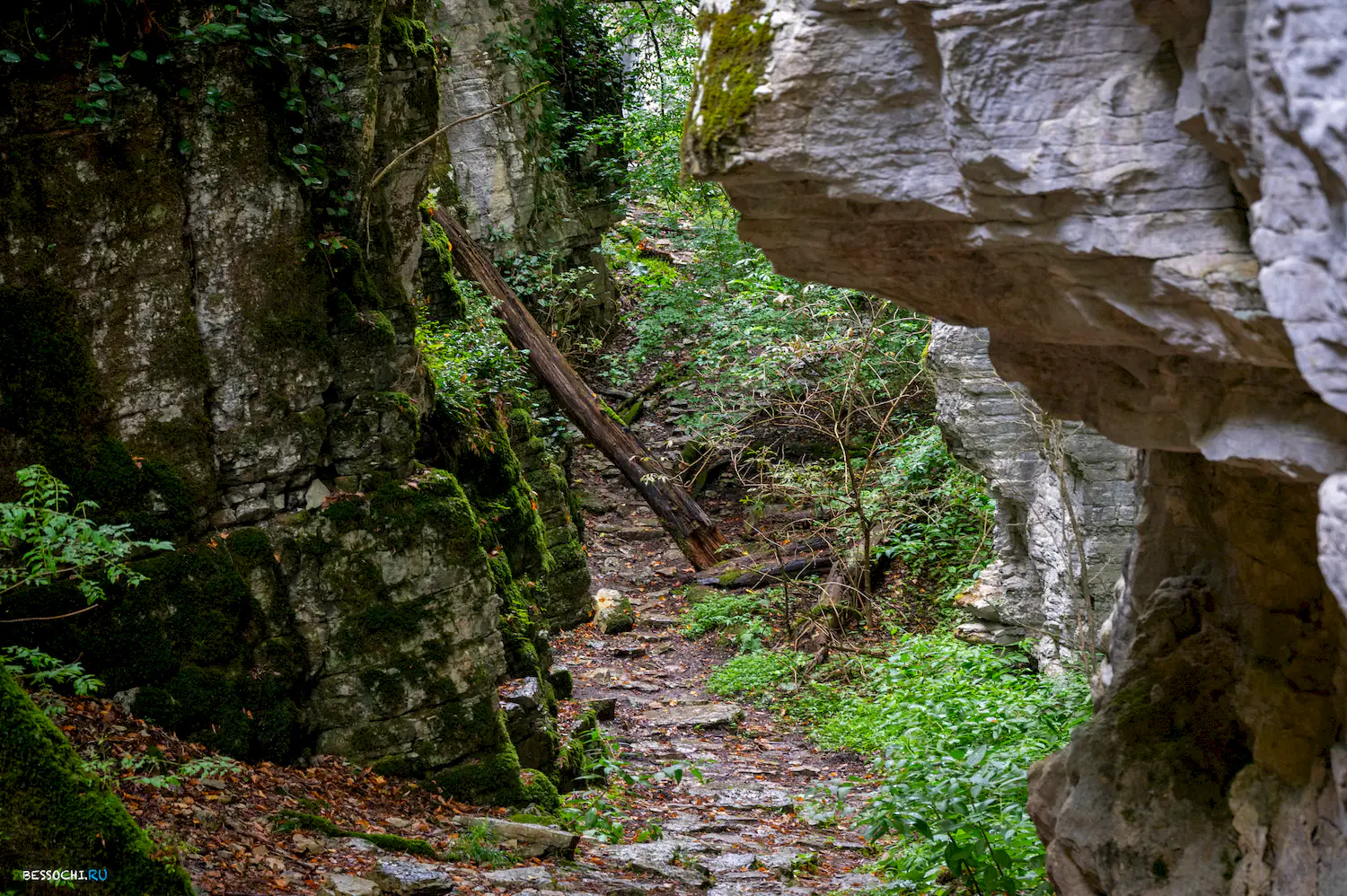 Сухой Псахо