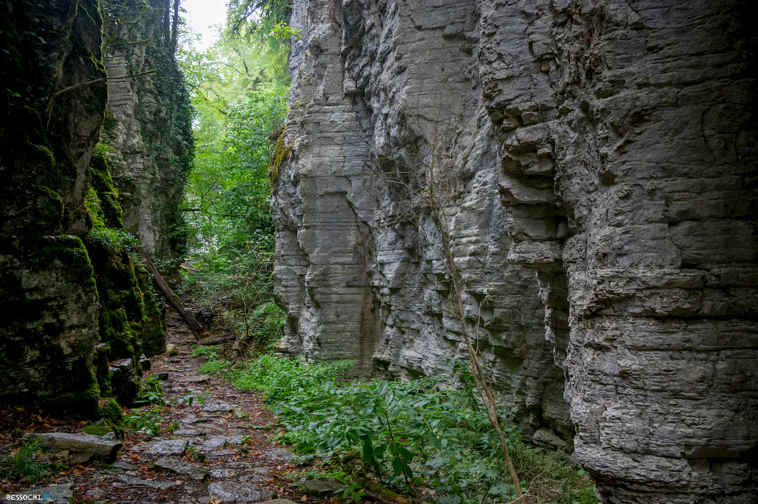 Сухой Псахо