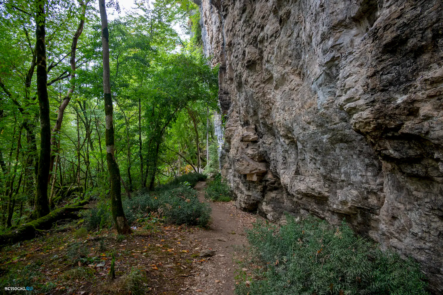 Сухой Псахо