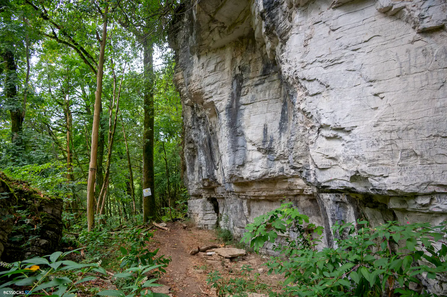 Сухой Псахо