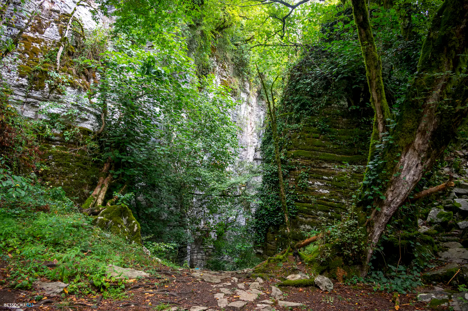 Сухой Псахо