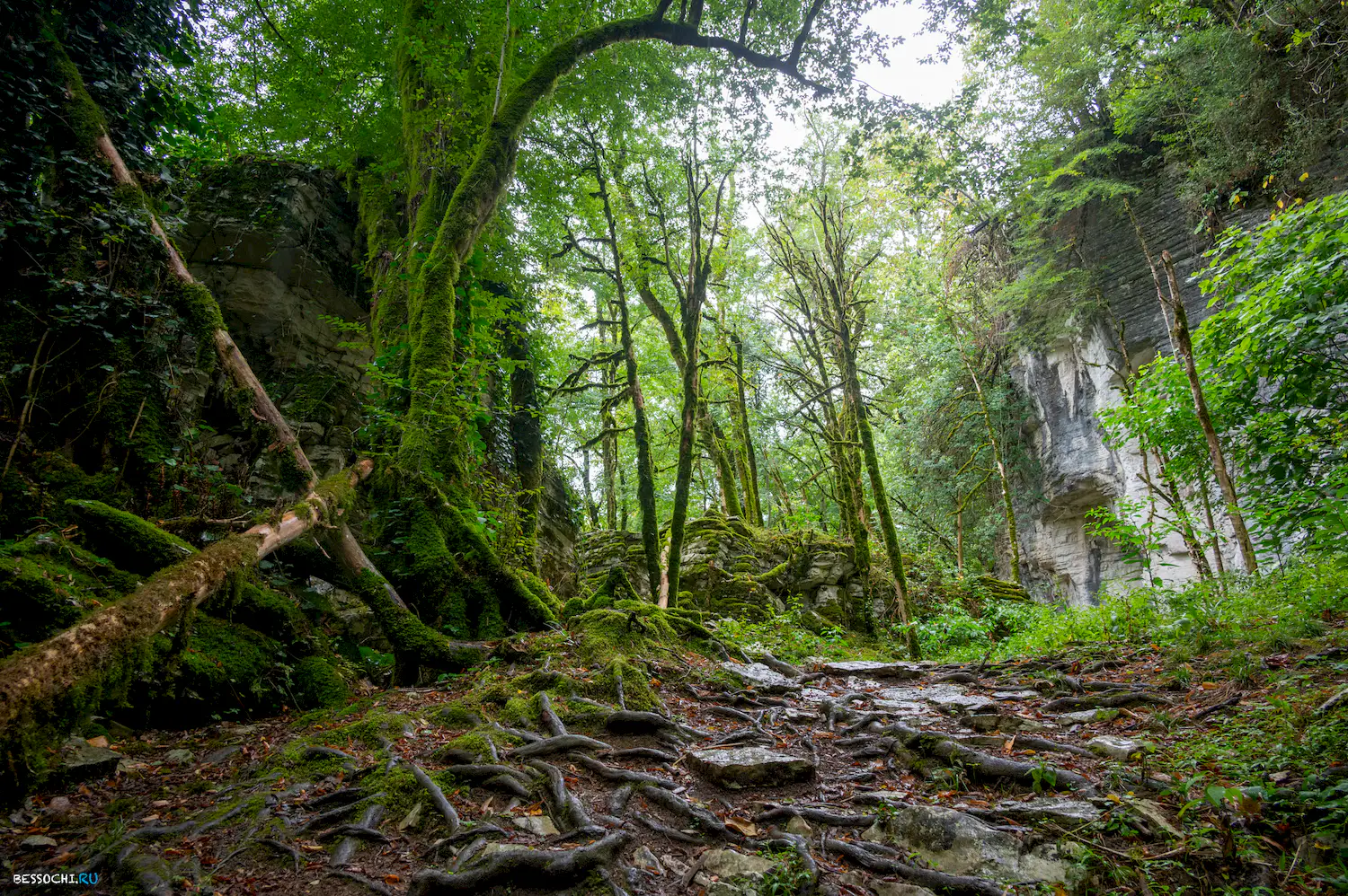 Сухой Псахо