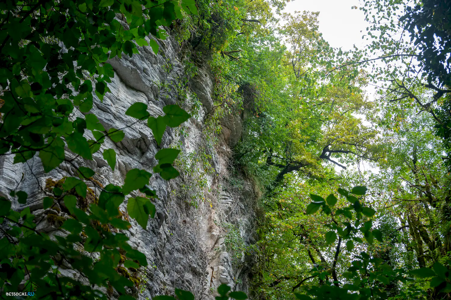 Сухой Псахо