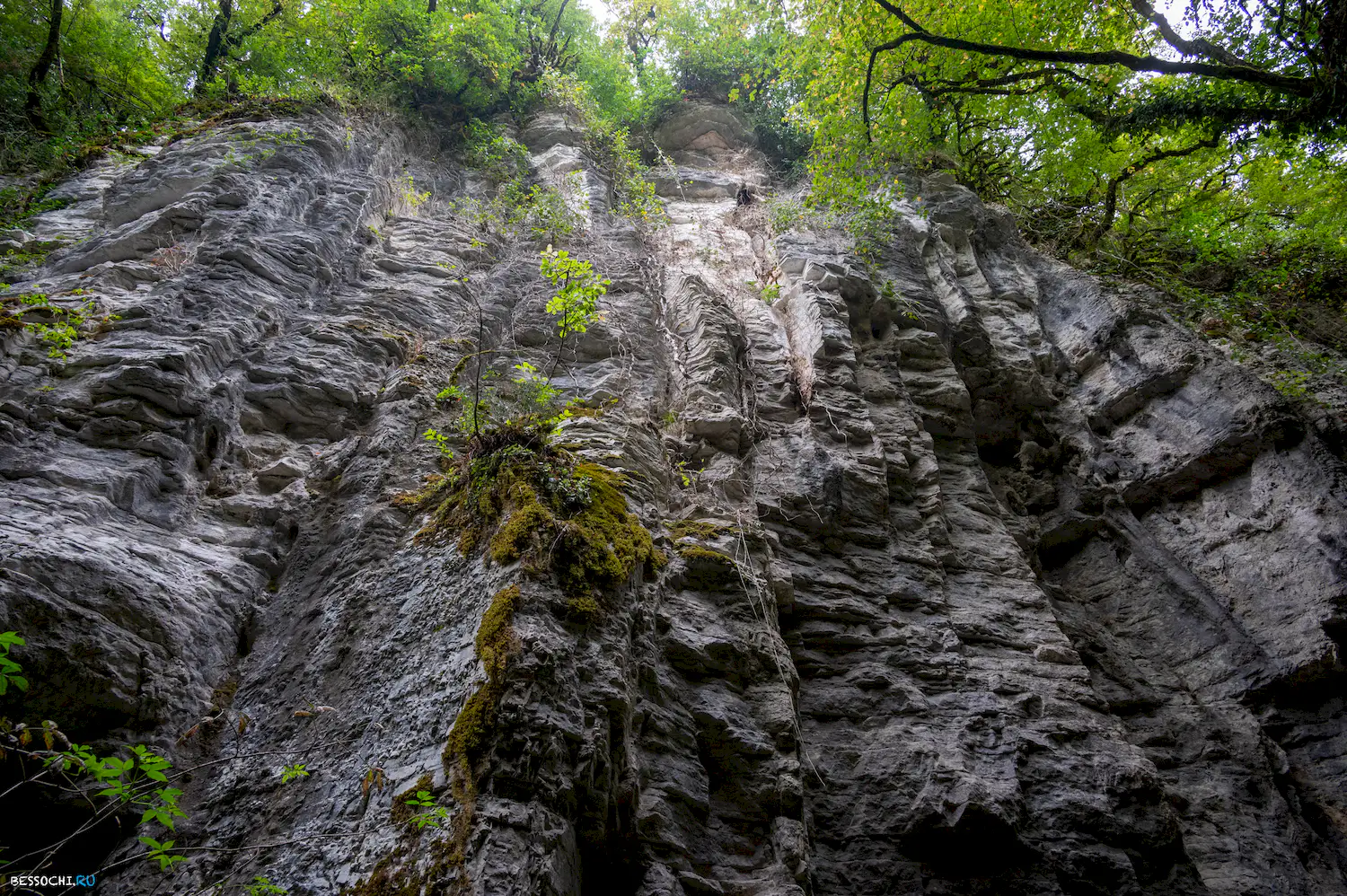 Сухой Псахо