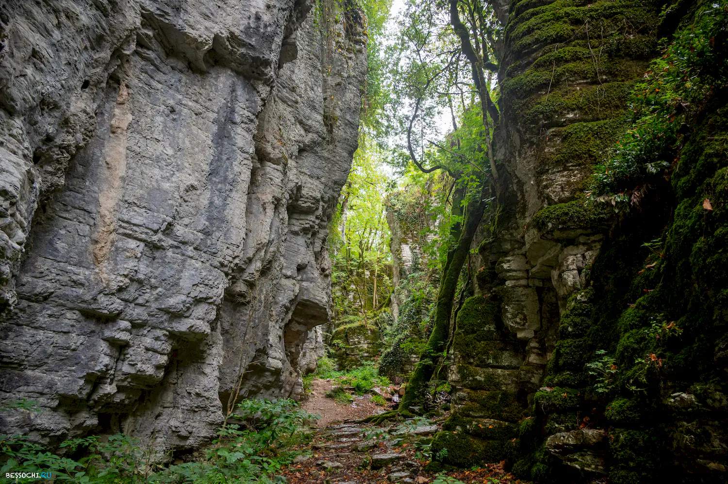 Сухой Псахо