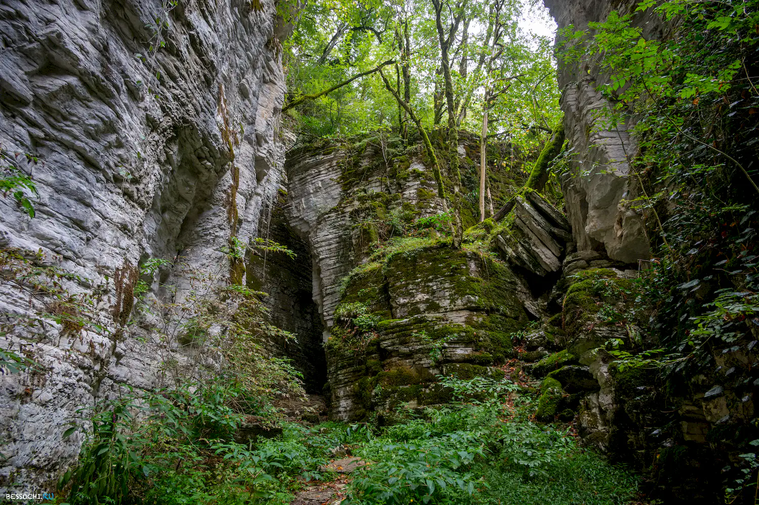 Сухой Псахо