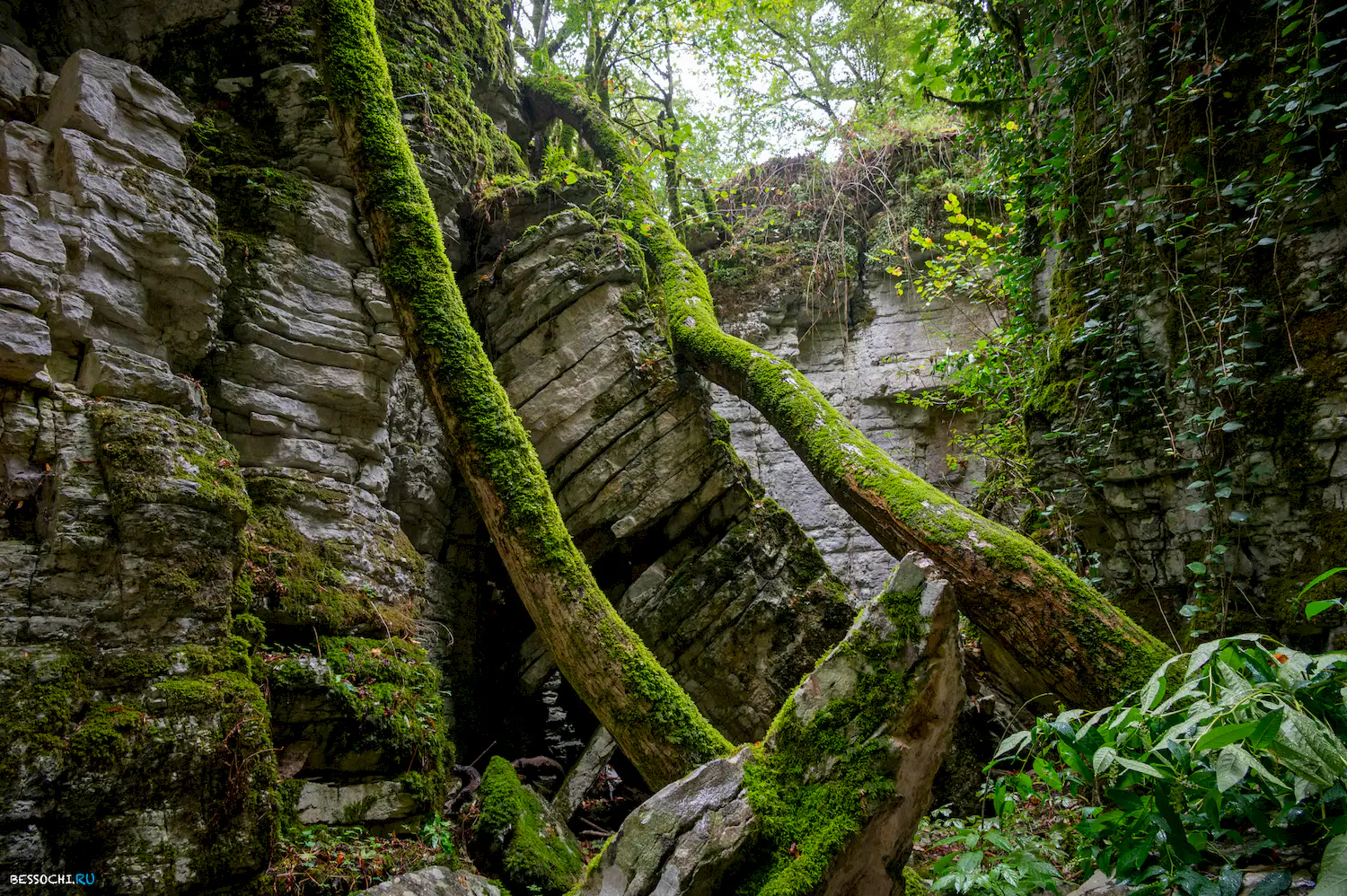 Сухой Псахо