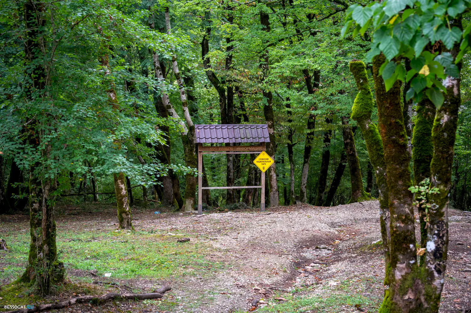 Сухой Псахо