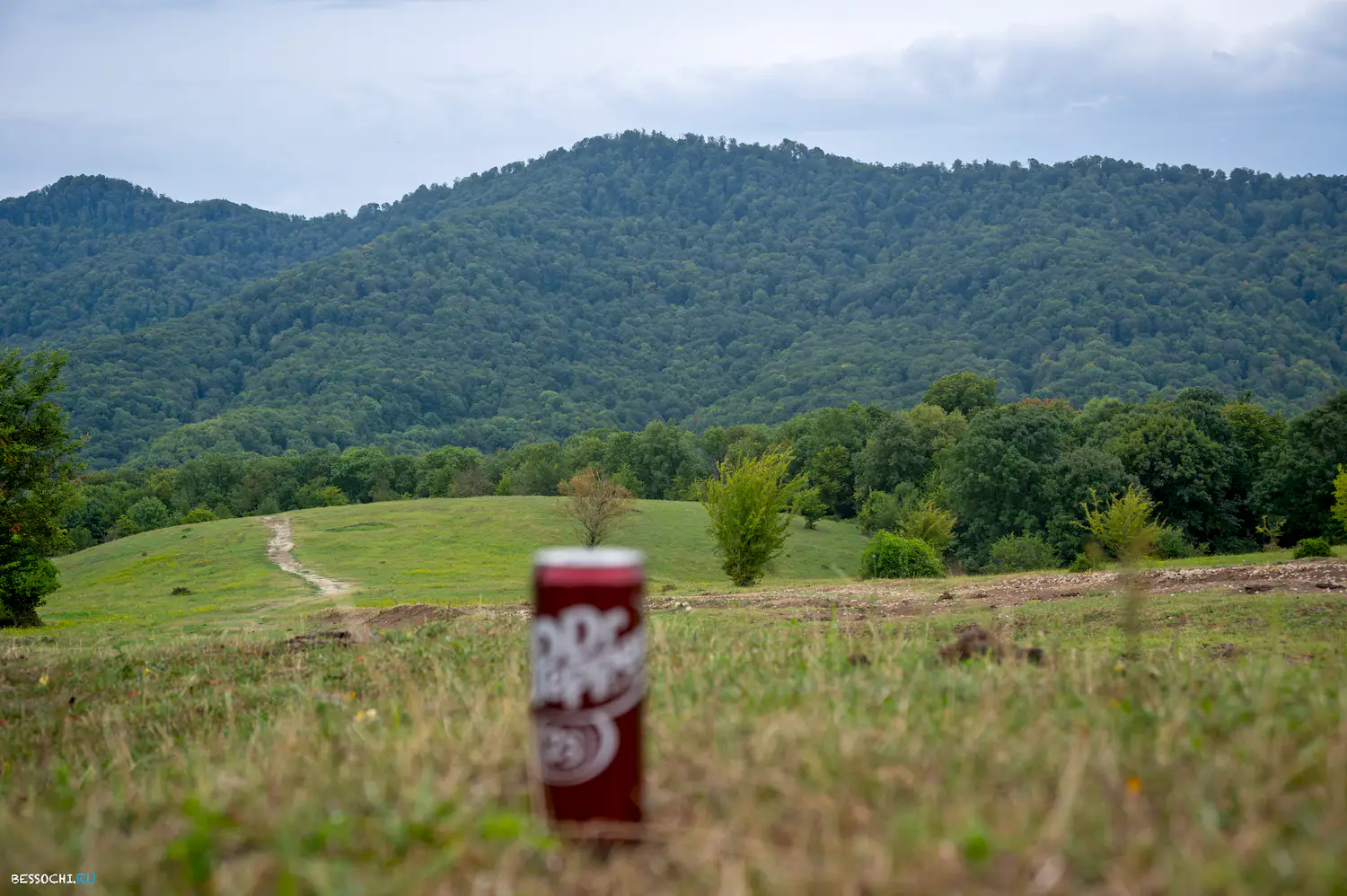 Красная воля
