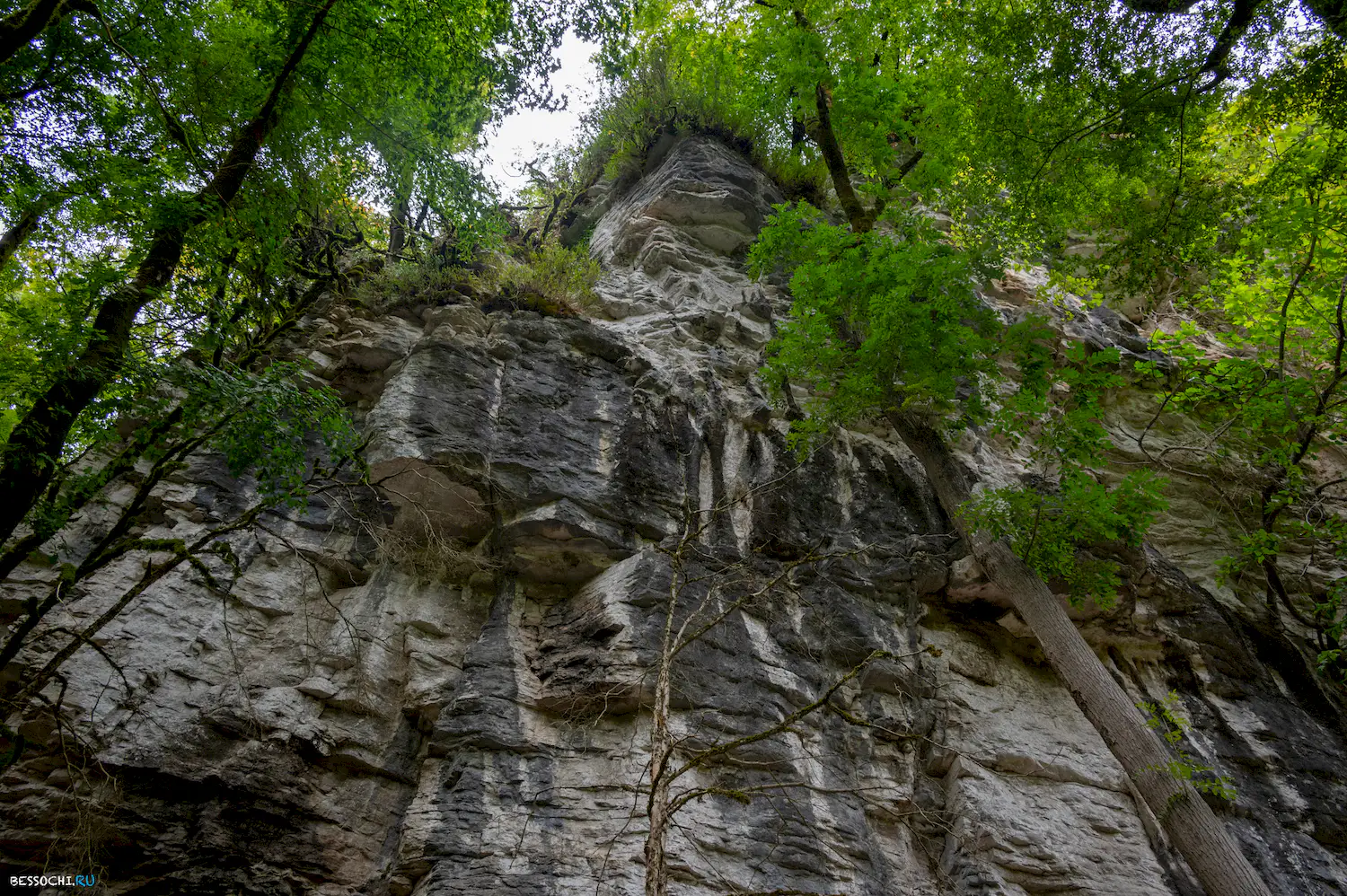 Сухой Псахо