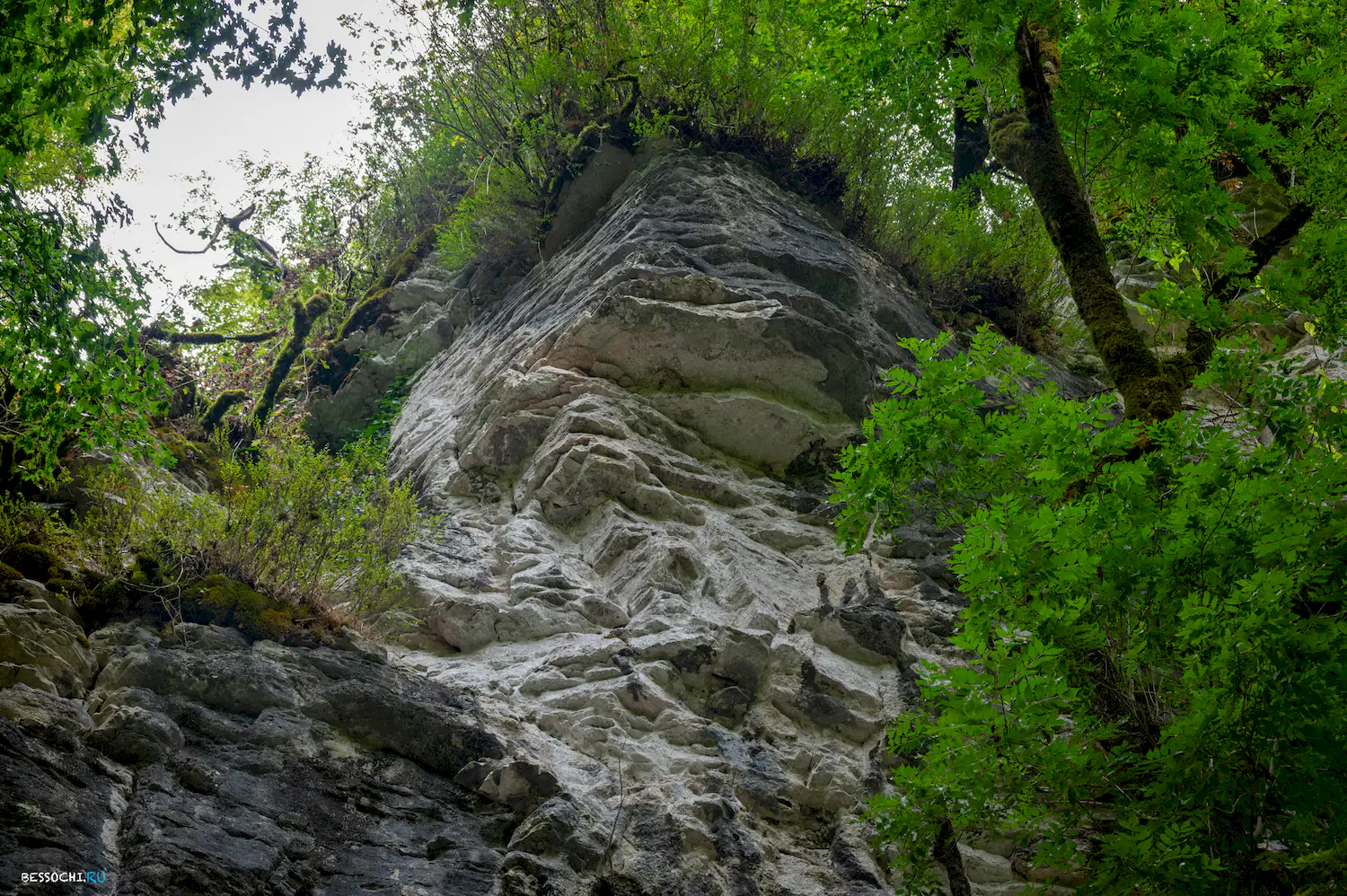 Сухой Псахо