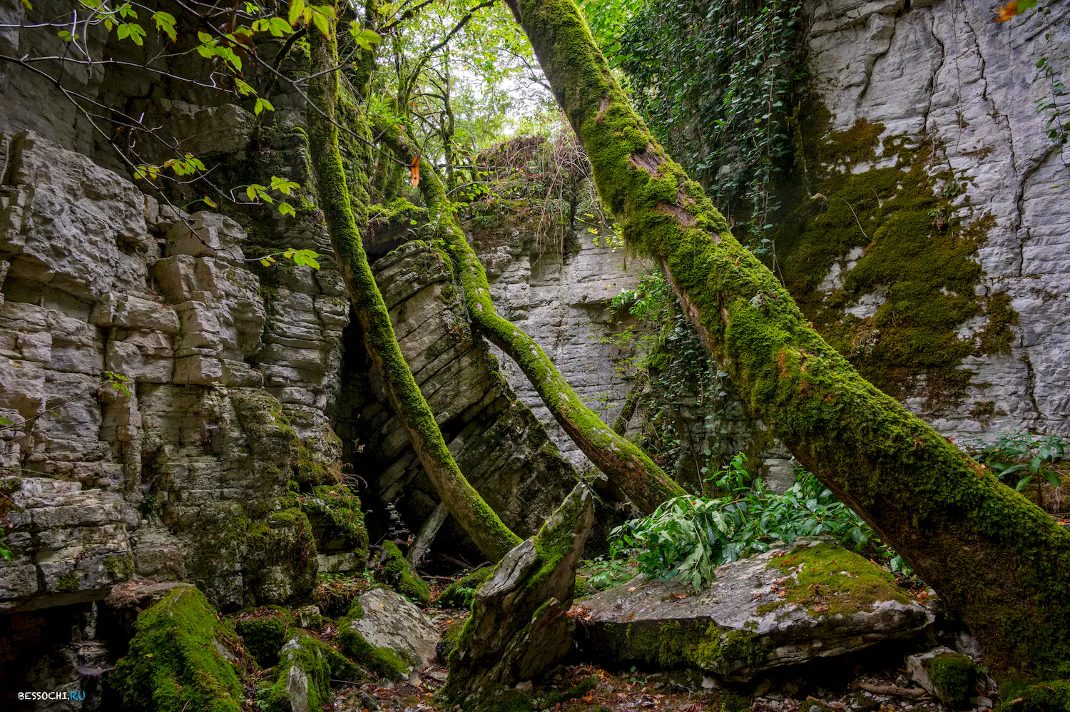 Сухой Псахо