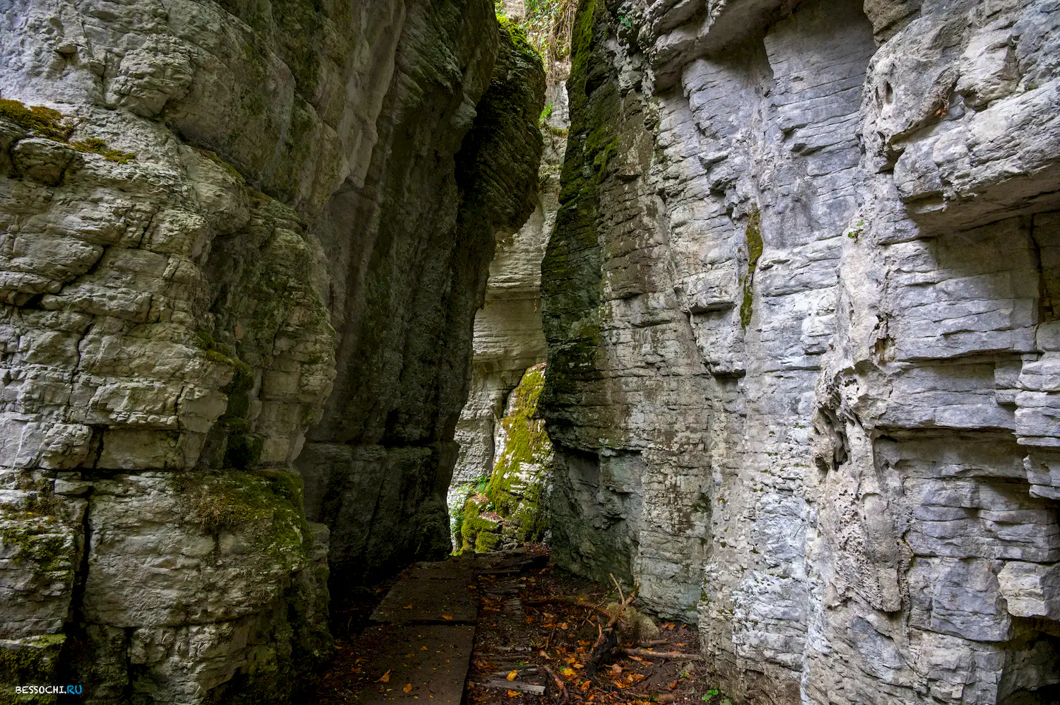 Сухой Псахо