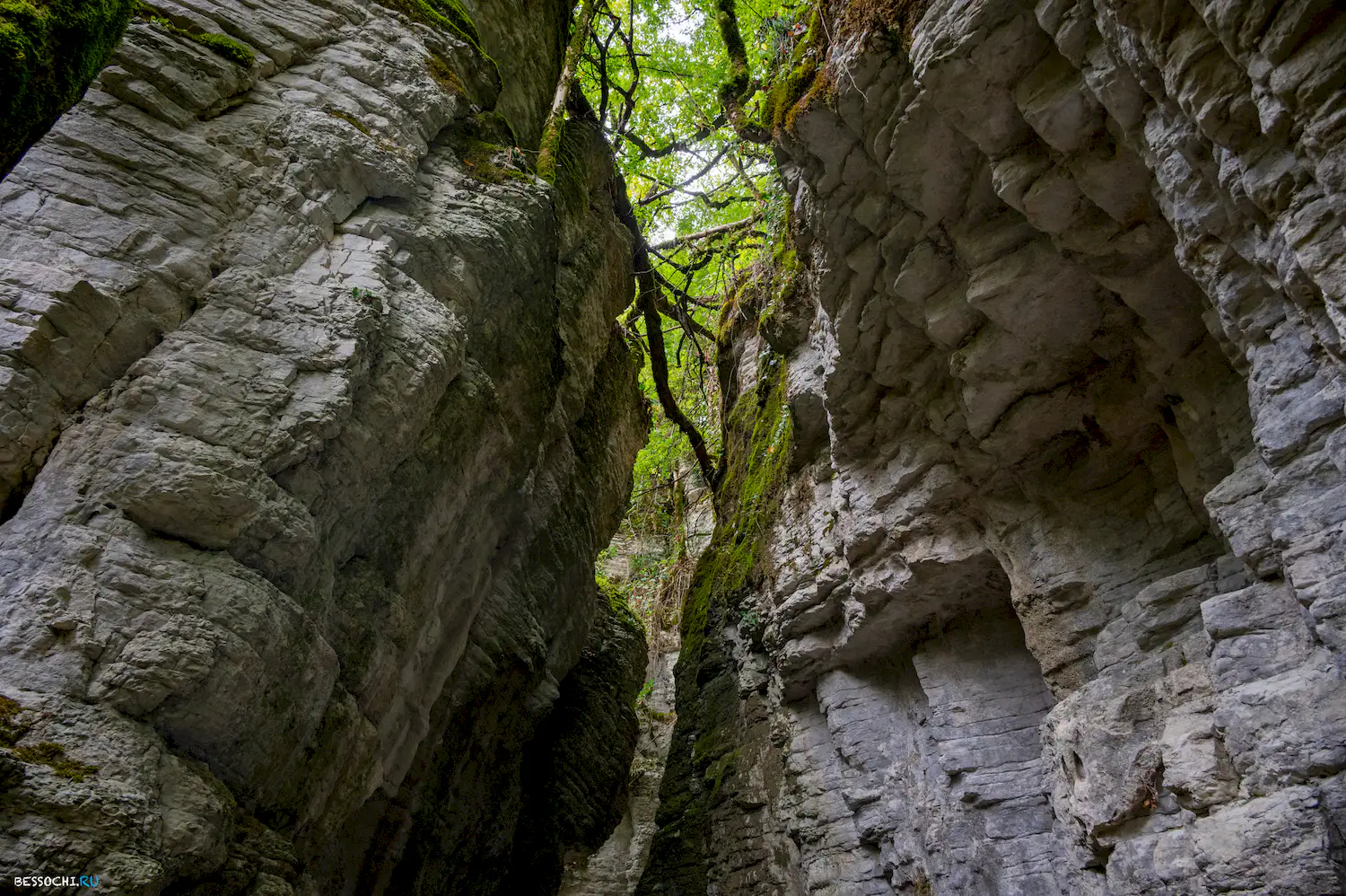 Сухой Псахо