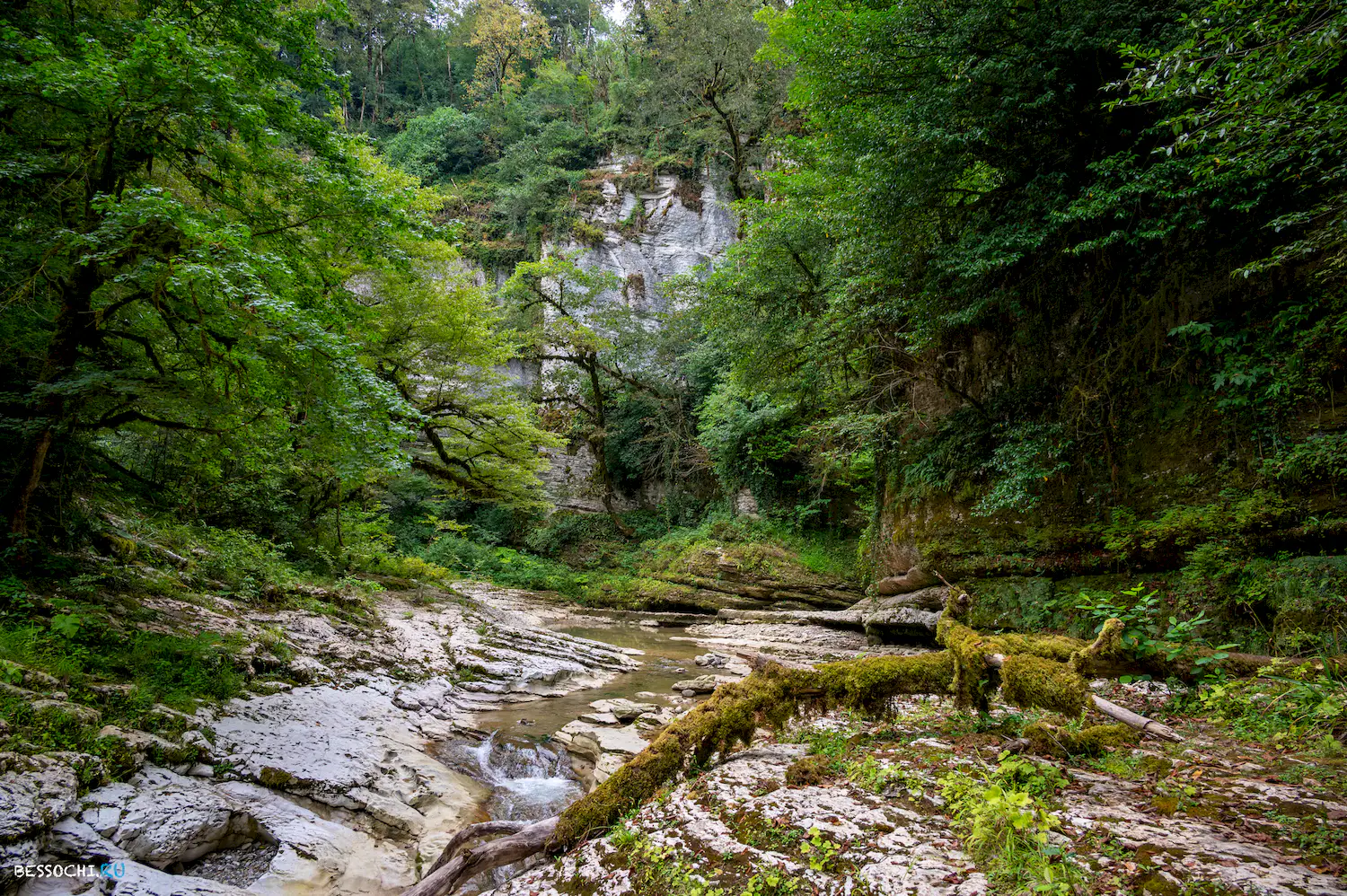 Мокрый Псахо