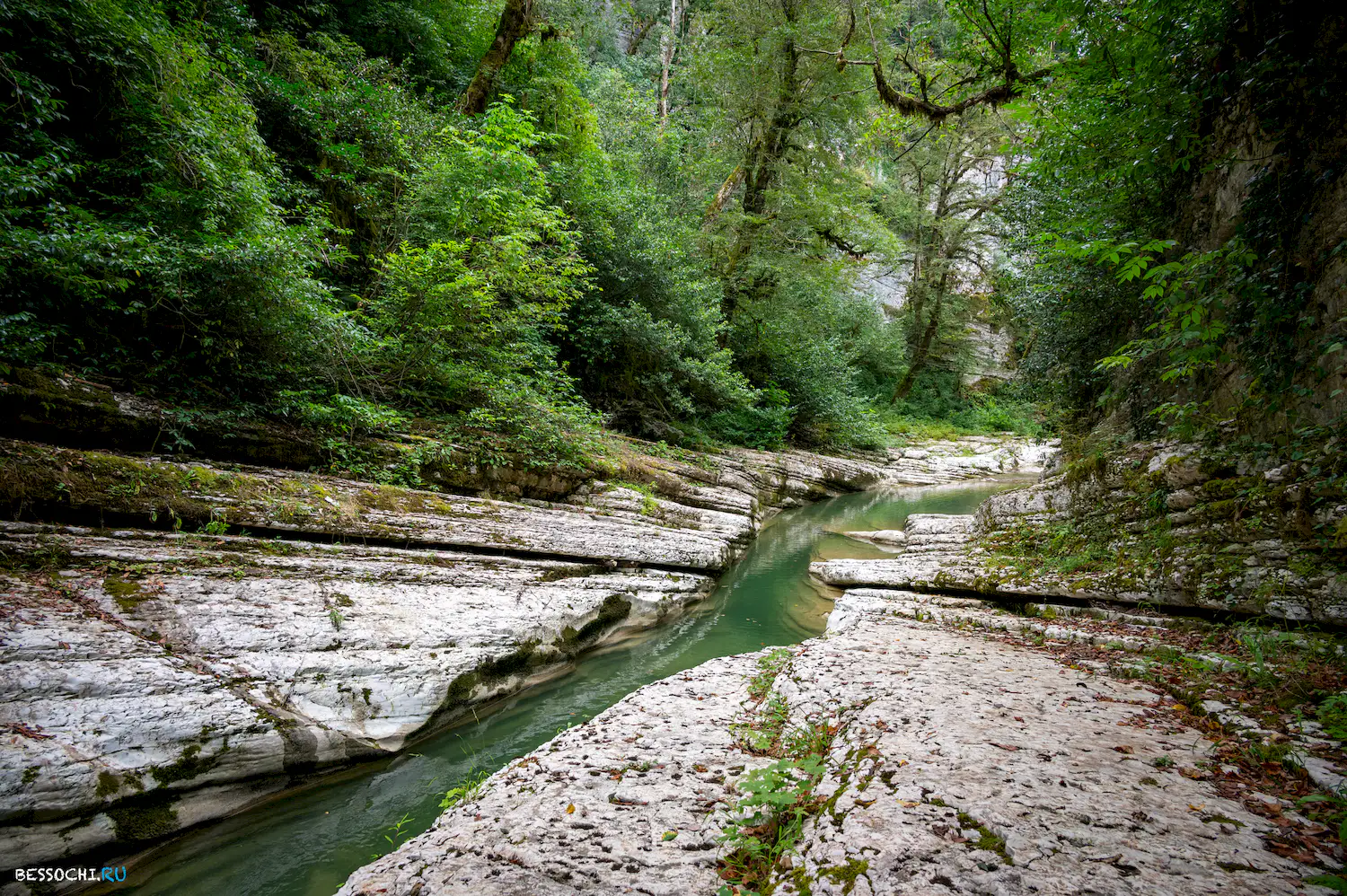Мокрый Псахо