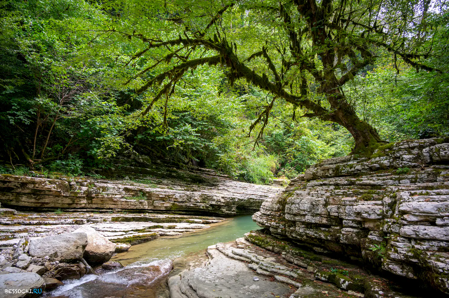 Мокрый Псахо
