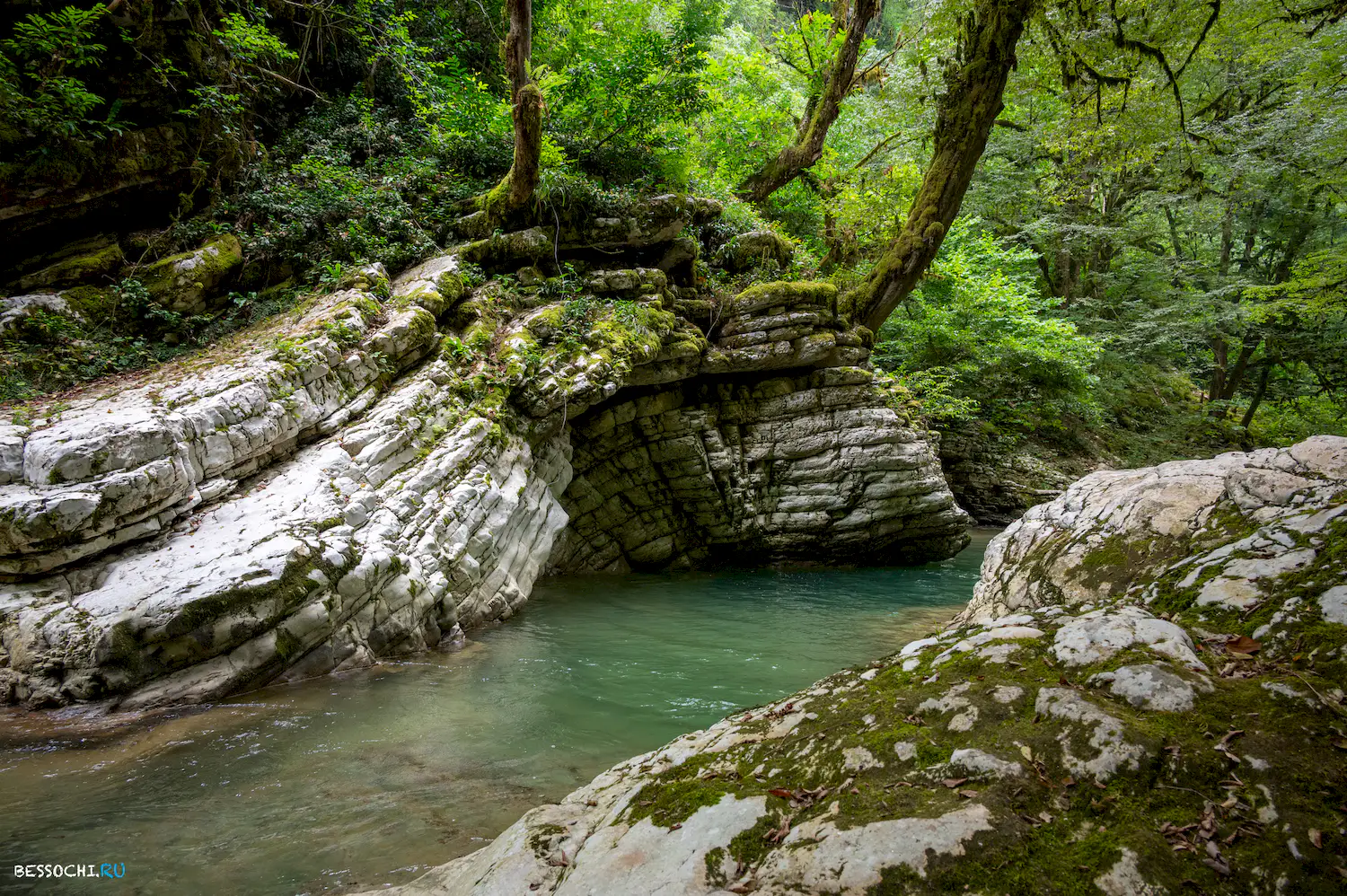 Мокрый Псахо