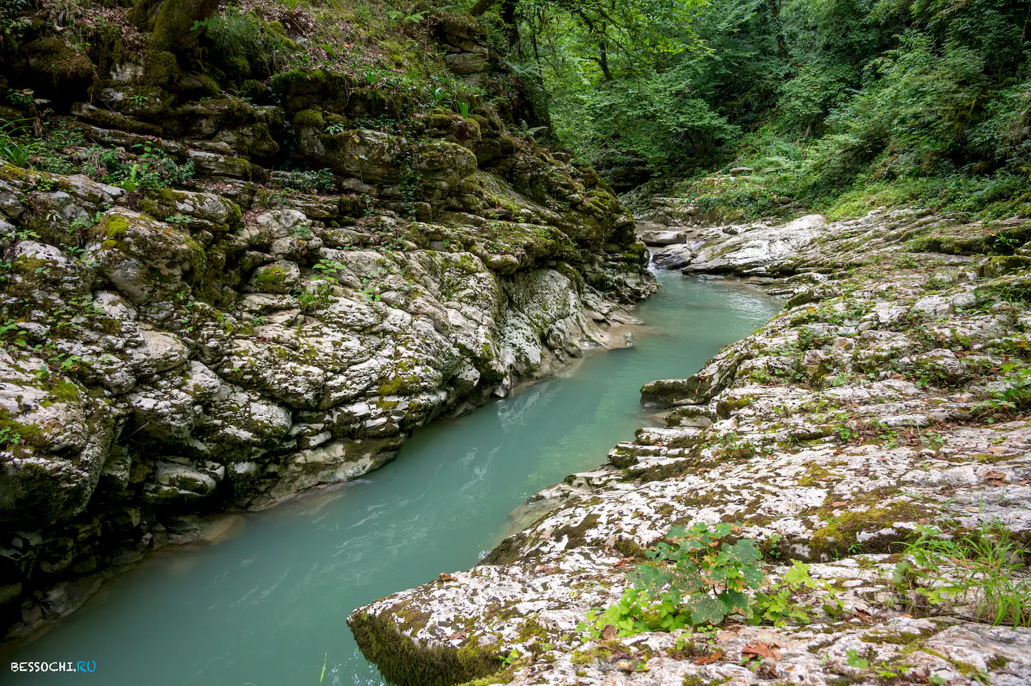 Мокрый Псахо