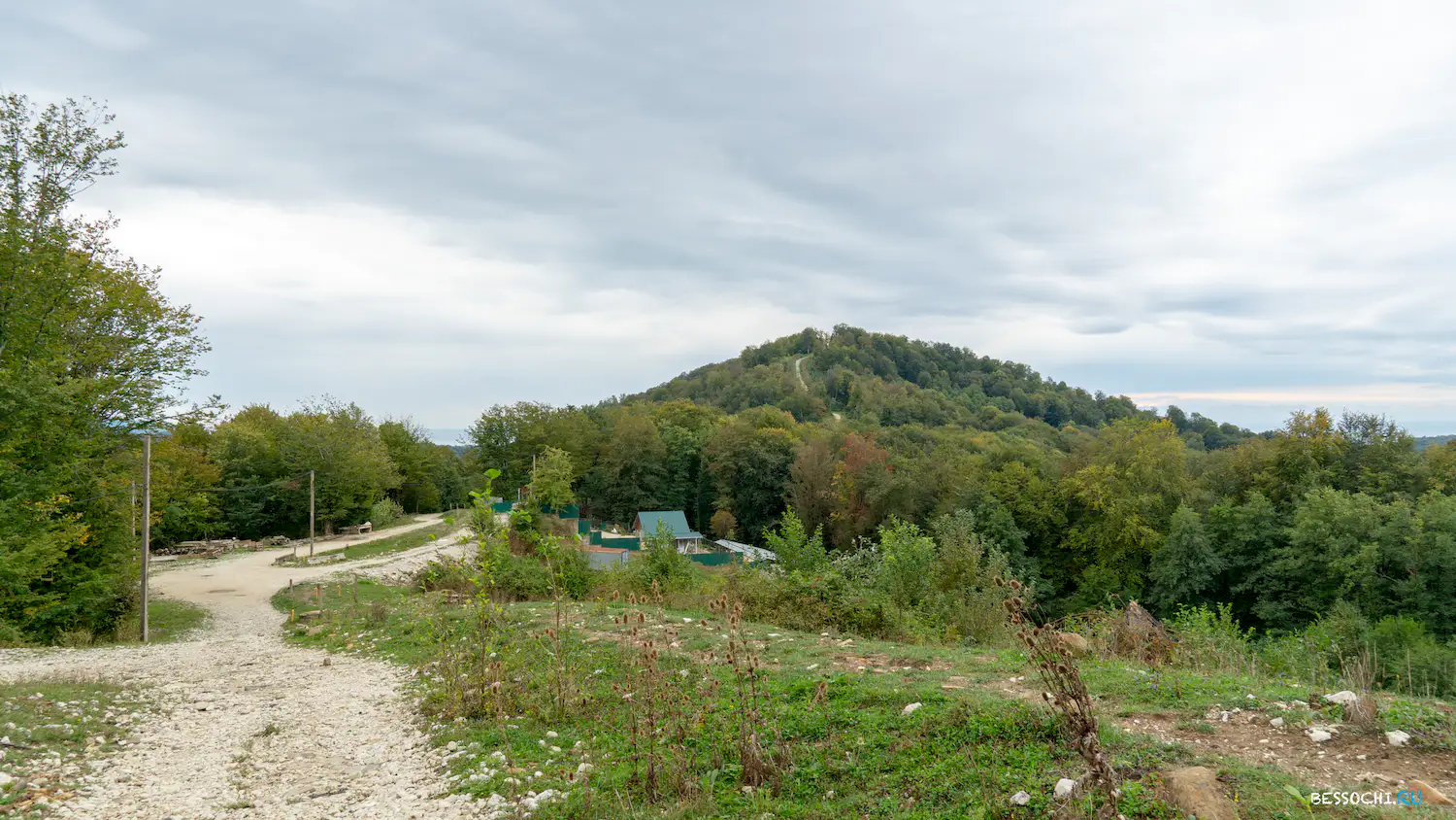 Сахарная головка