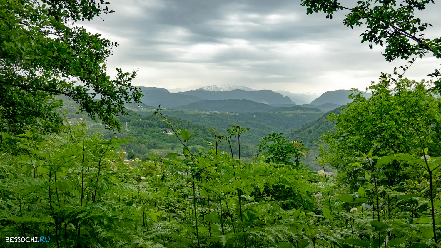 Гора Овсянникова