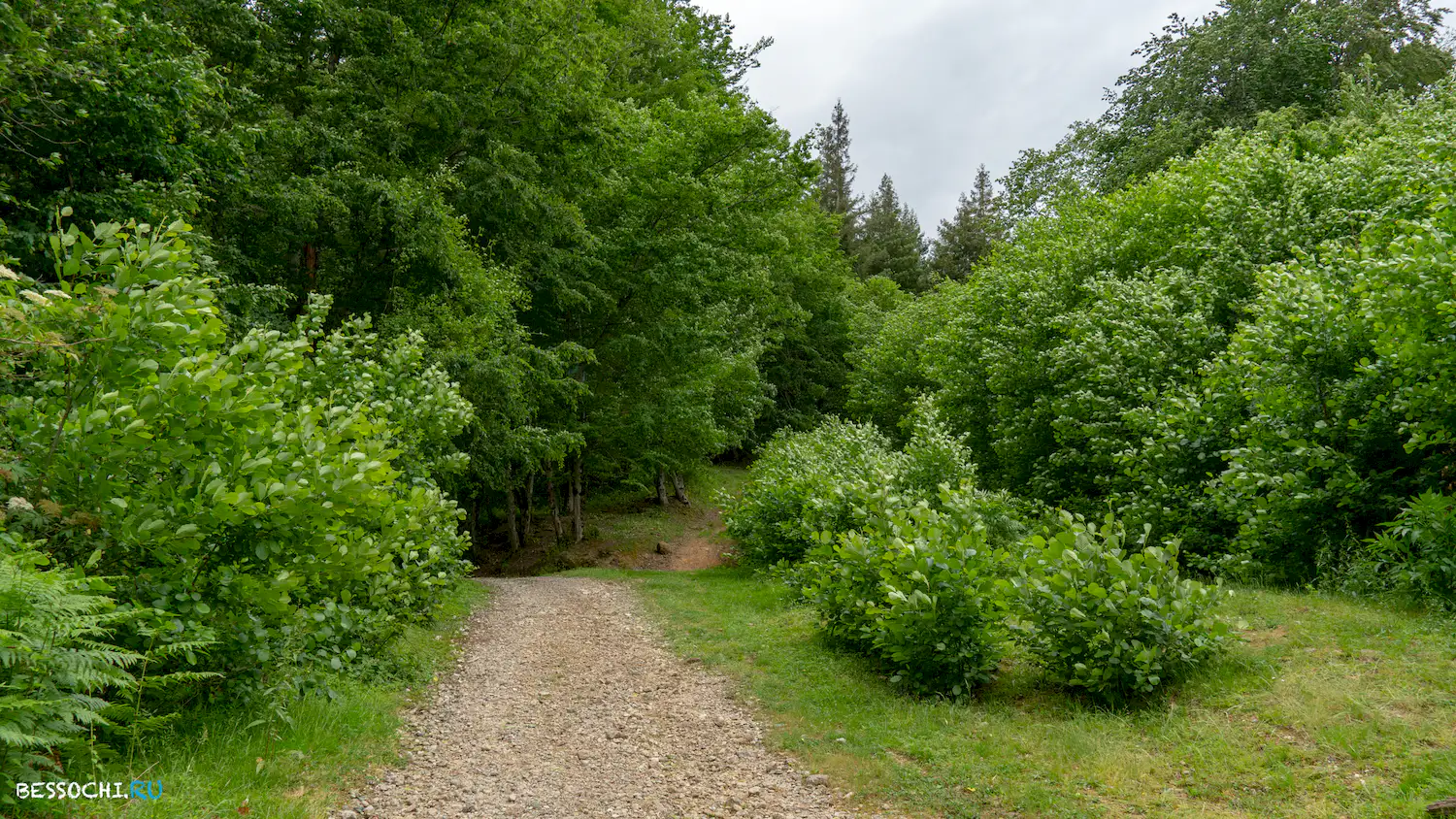 Гора Овсянникова