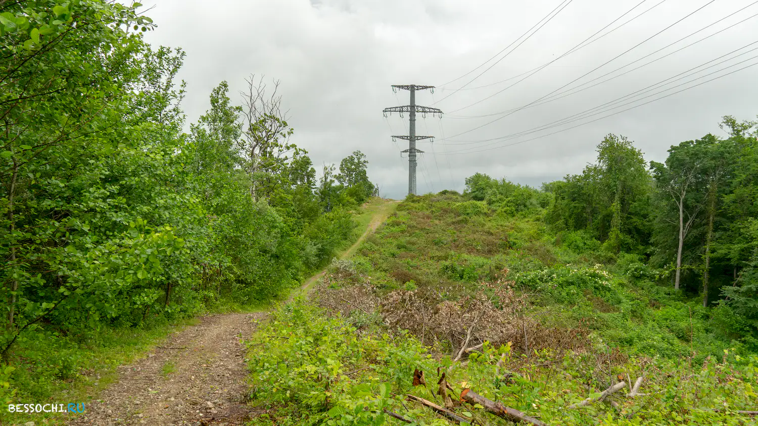 Гора Овсянникова