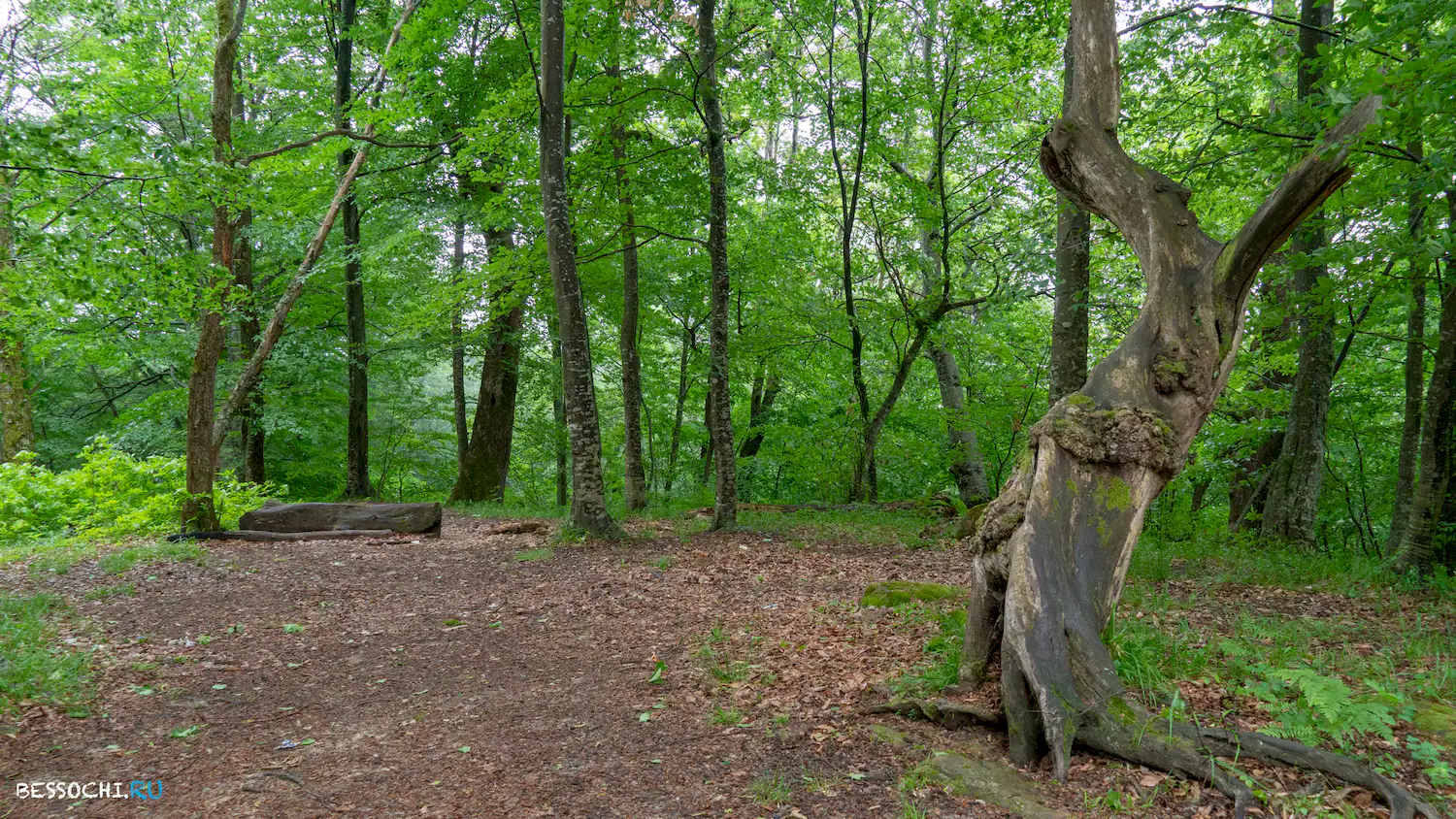 Гора Овсянникова