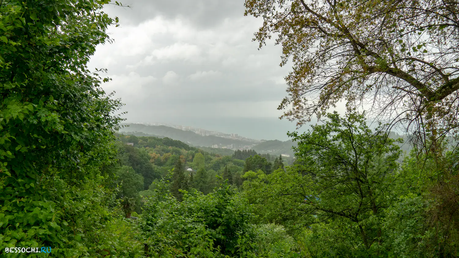 Гора Овсянникова