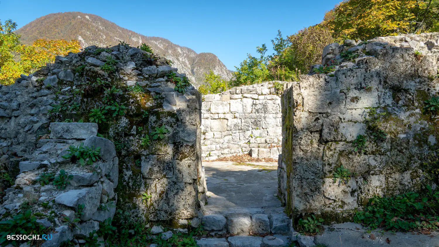 Пасть Дракона