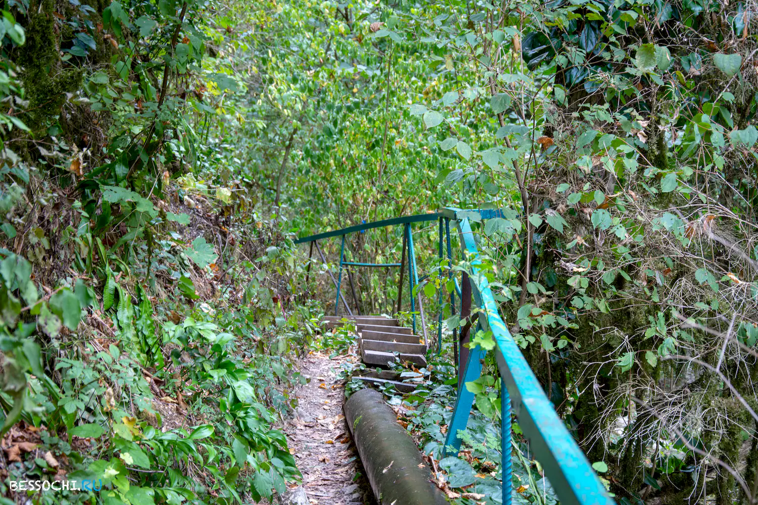 Пасть Дракона