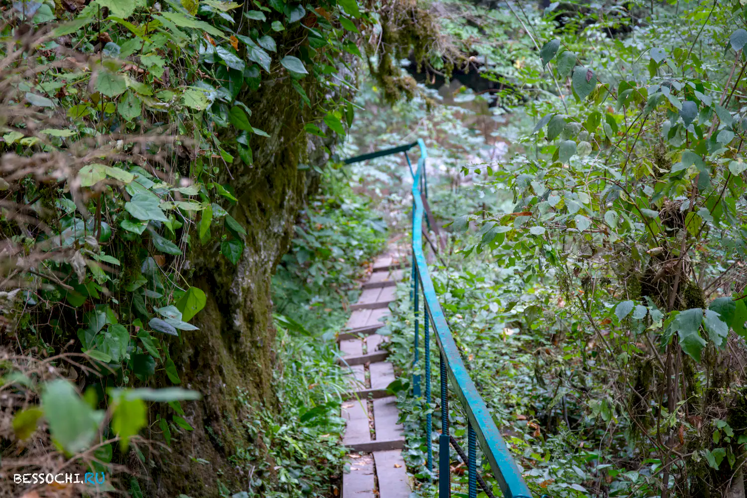 Пасть Дракона