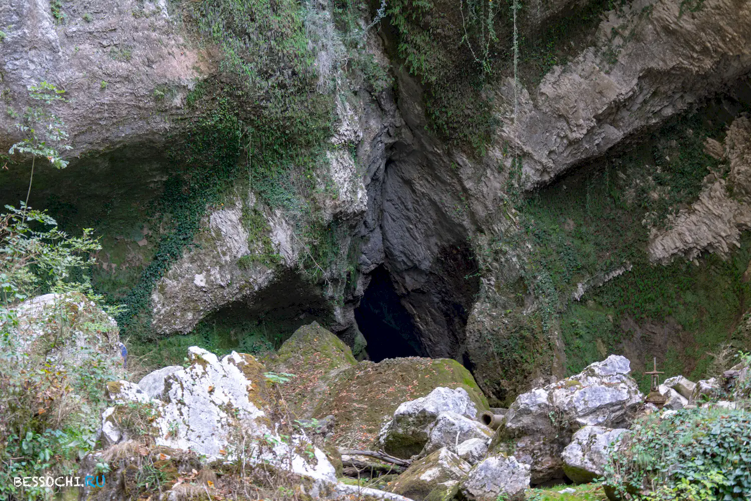 Пасть Дракона