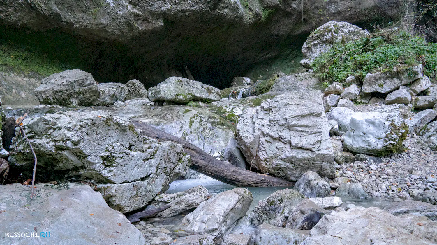 Пасть Дракона