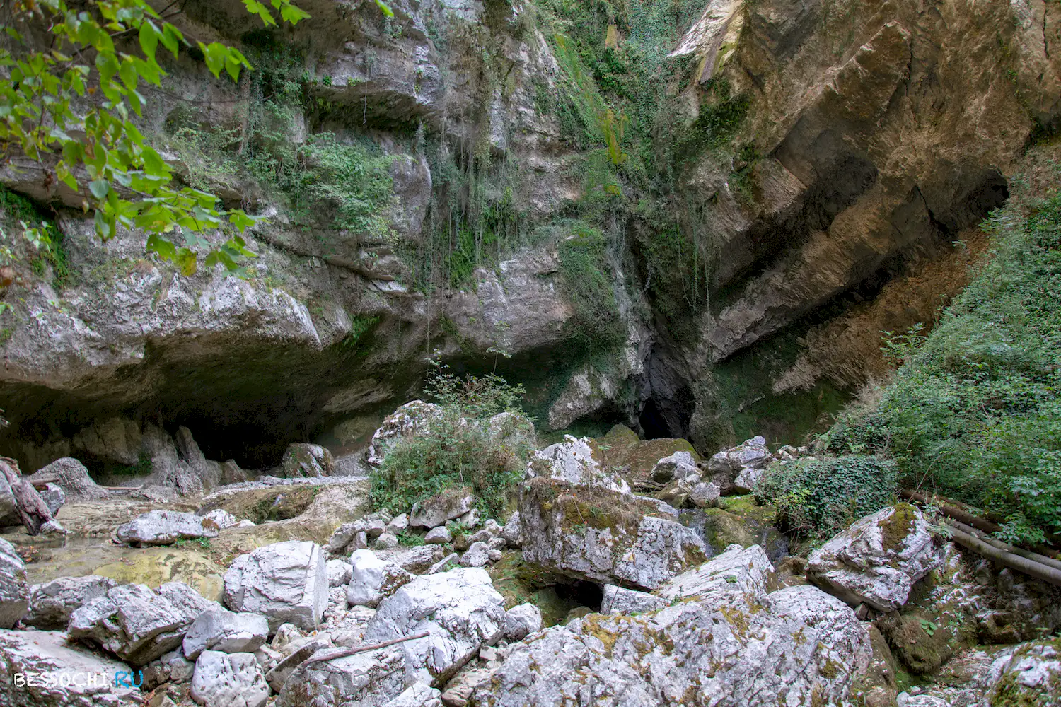 Пасть Дракона