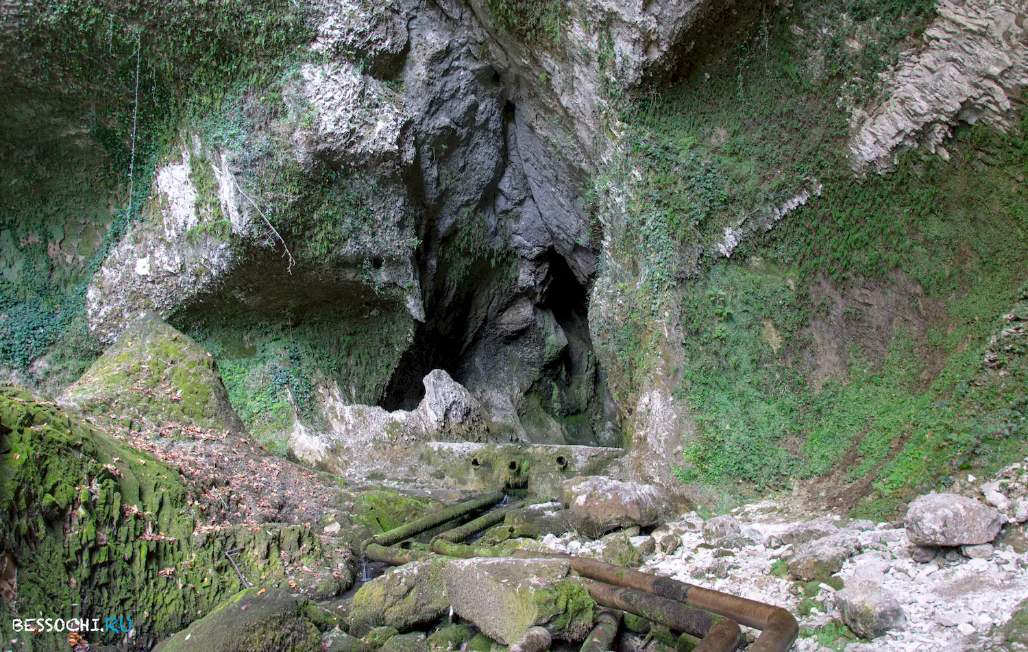 Пасть Дракона