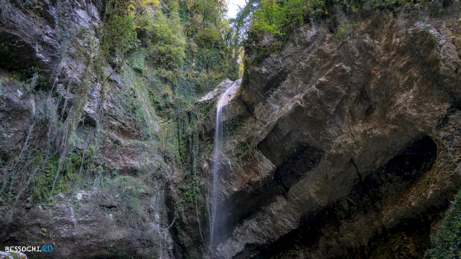 Пасть Дракона