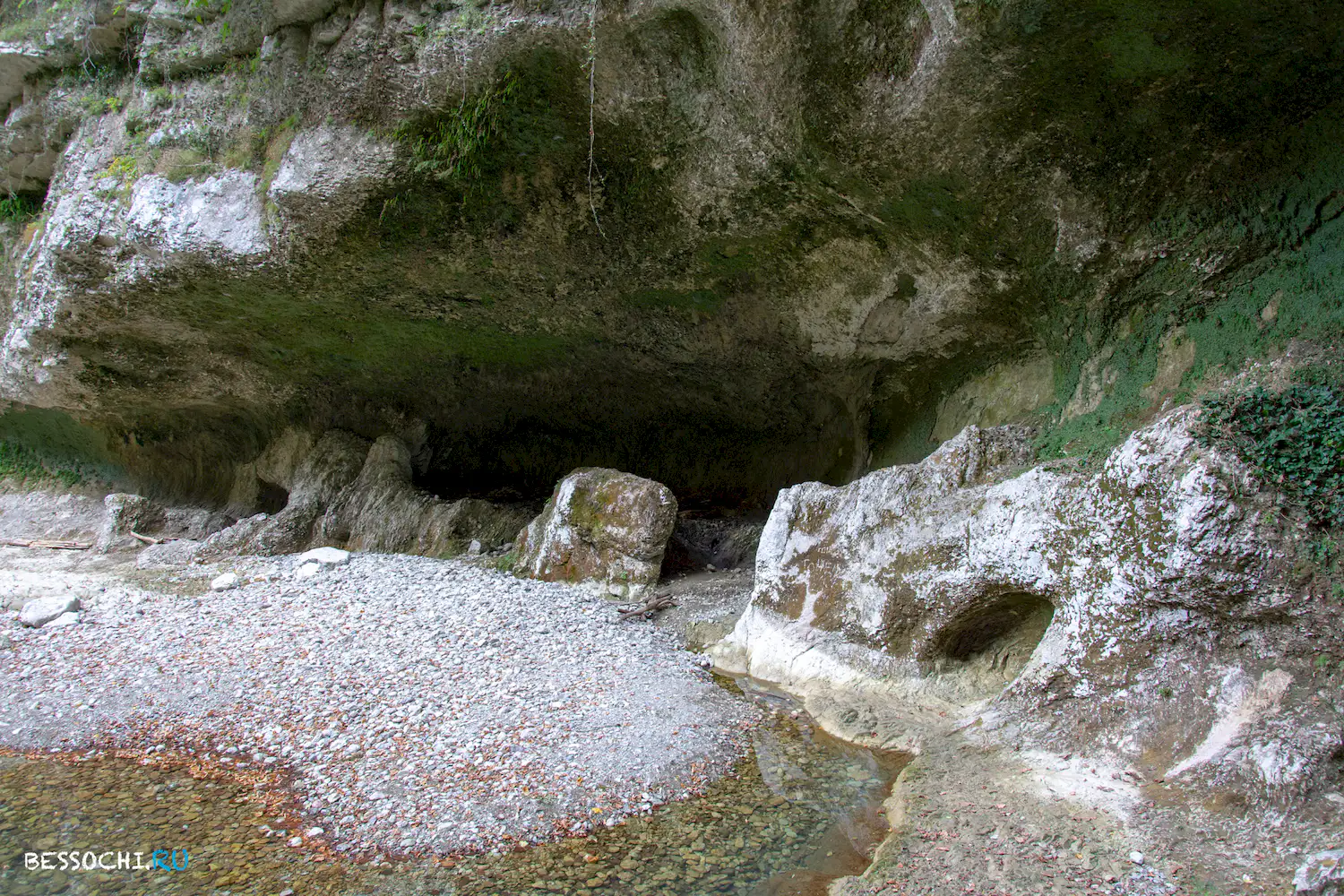 Пасть Дракона