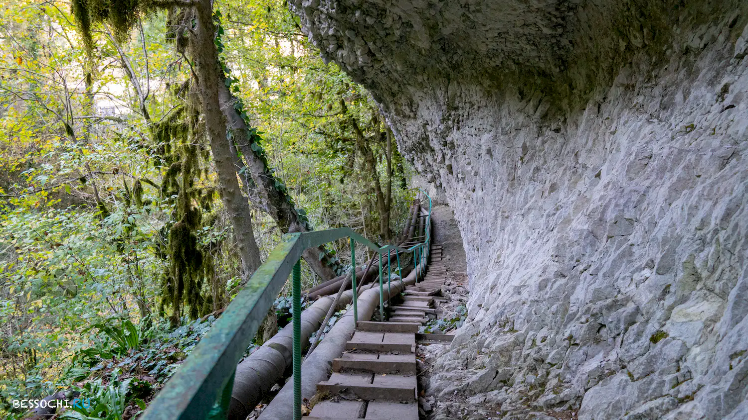Пасть Дракона
