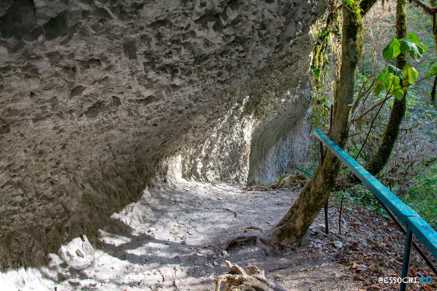 Пасть Дракона