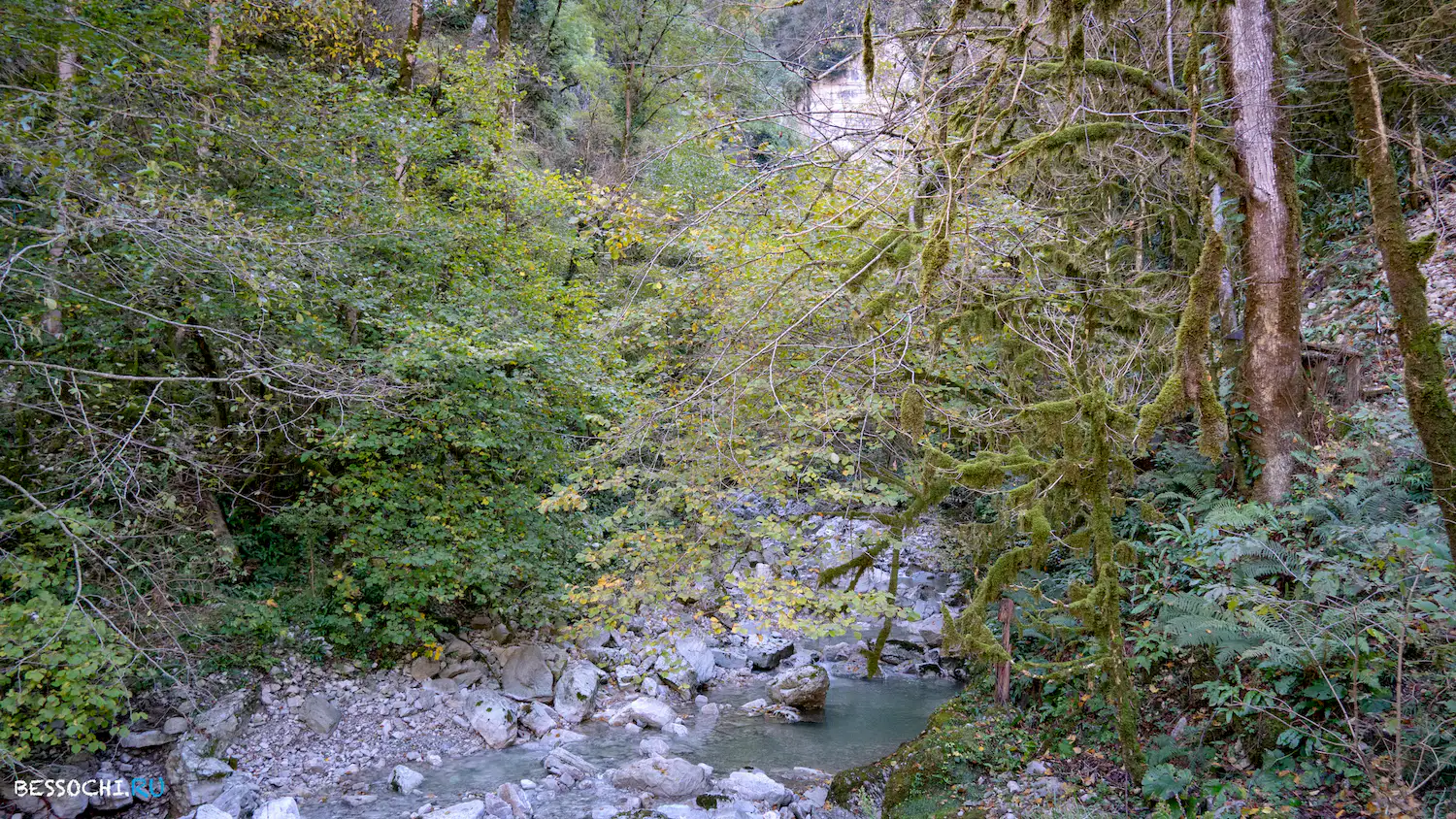 Пасть Дракона