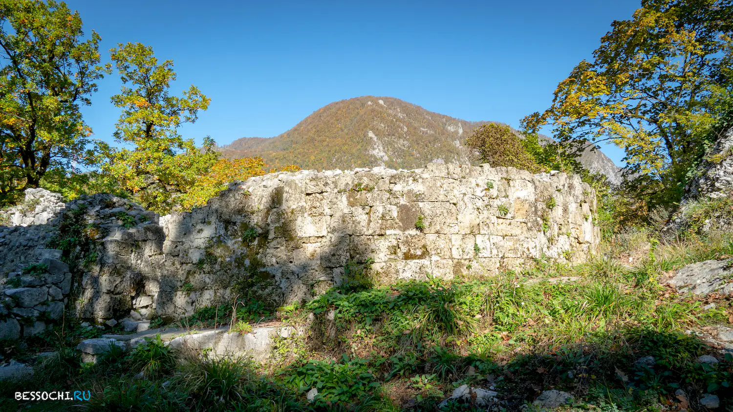 Пасть Дракона