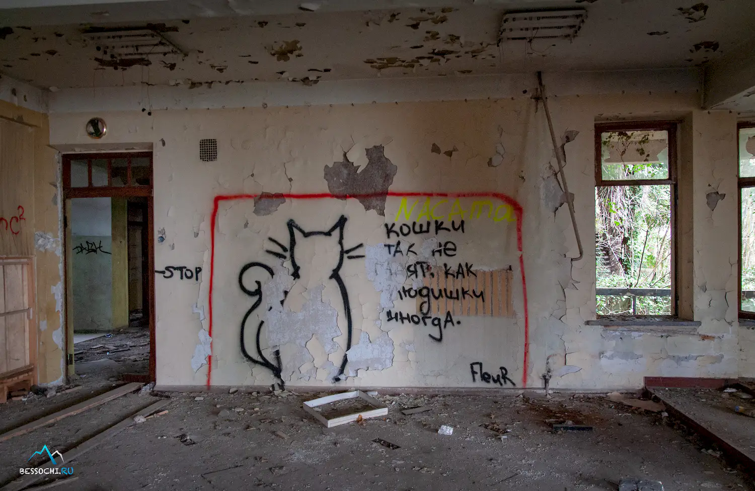 НИИ Курортологии