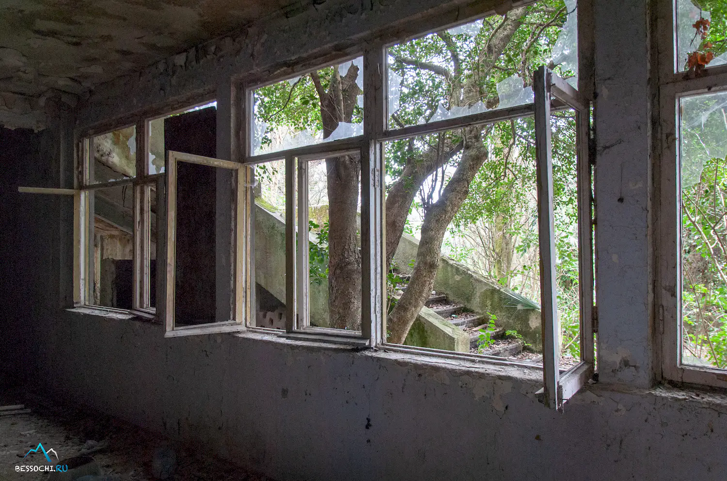 НИИ Курортологии